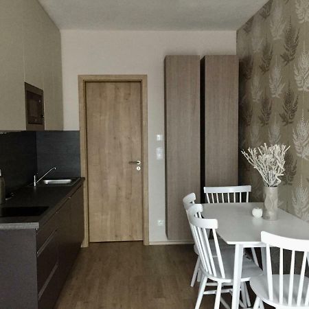 Zlaty Apartman Dolní Morava المظهر الخارجي الصورة