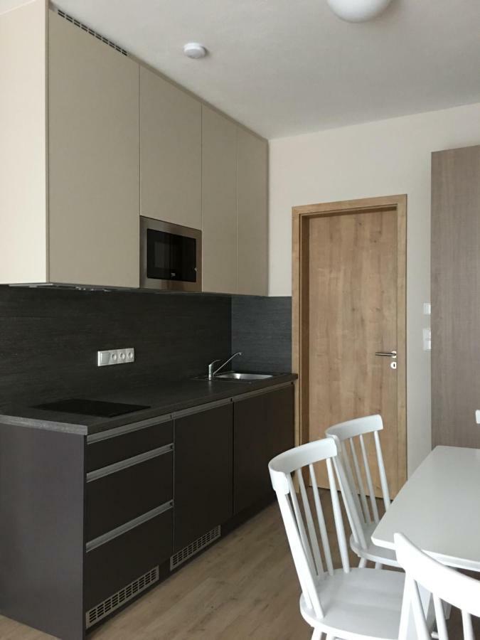 Zlaty Apartman Dolní Morava المظهر الخارجي الصورة